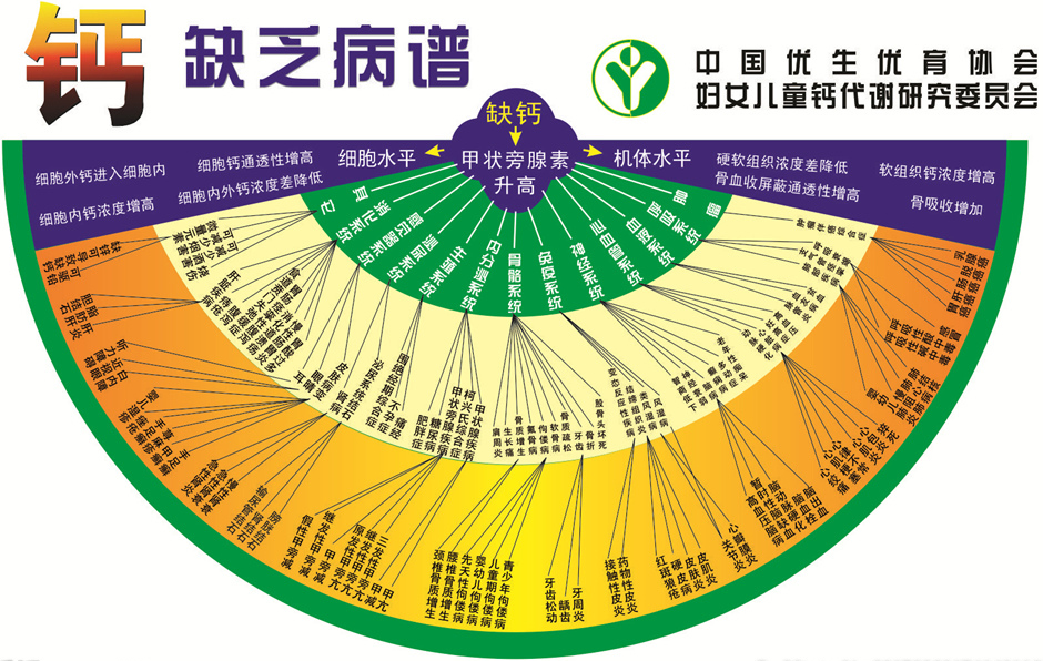 請查收|兒童營養(yǎng)素之維生素與鈣